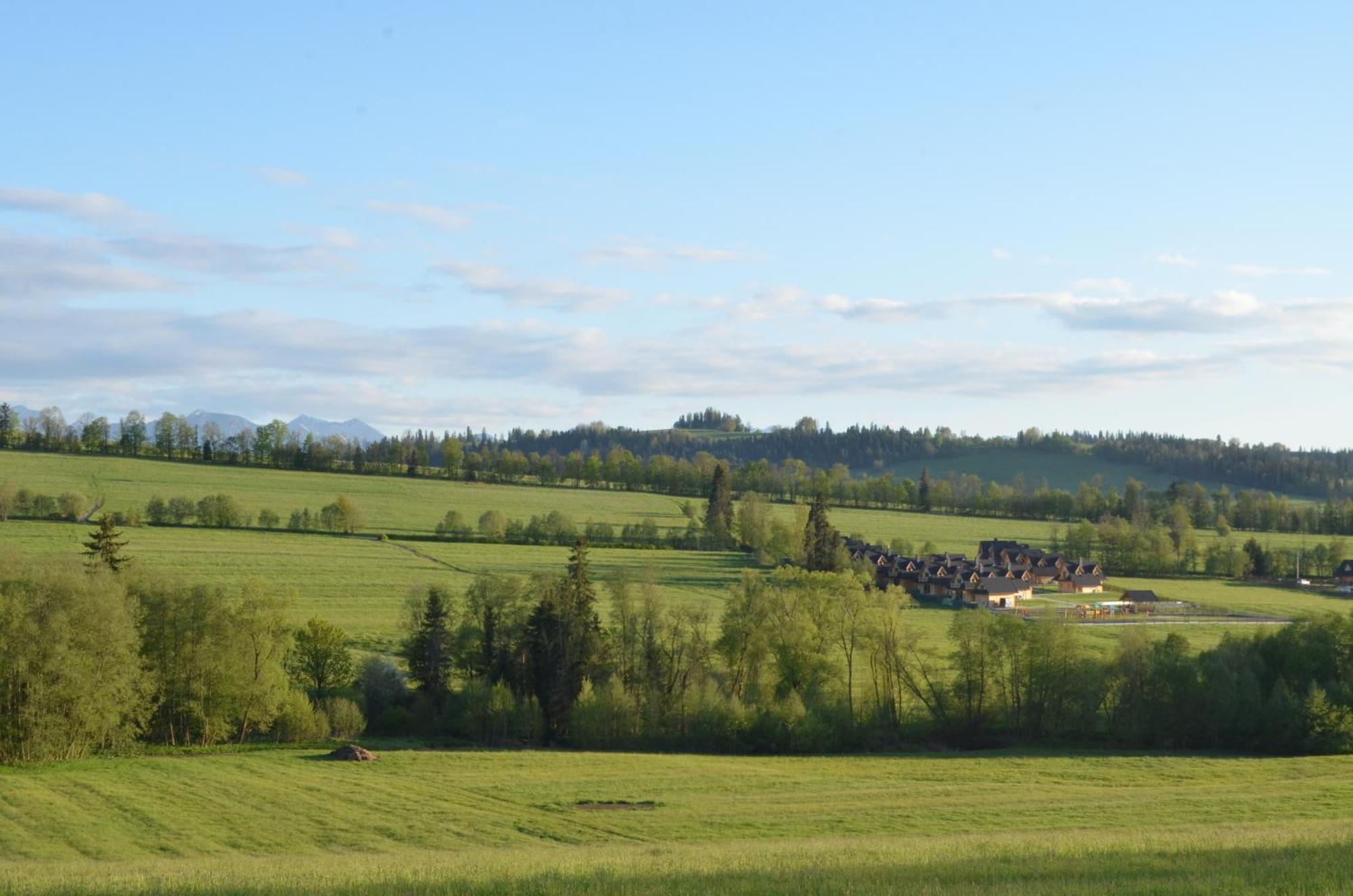 Krokusowa Dolina Wioska Pod Tatrami Ratulow Buitenkant foto